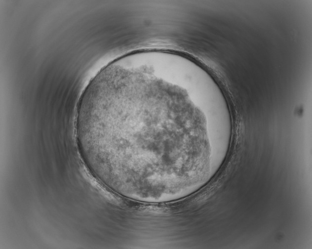 X0000115591374200912011453
