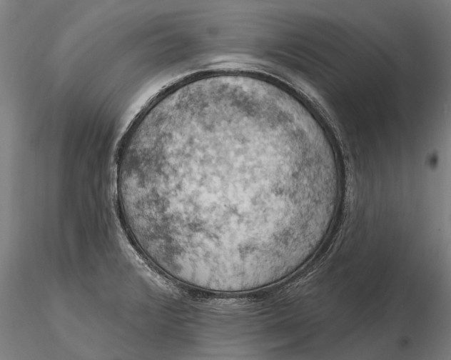 X0000115591376200912011453