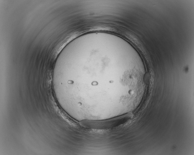 X0000115591377200912011453