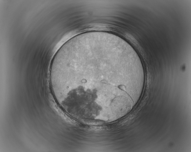 X0000115591378200912011453