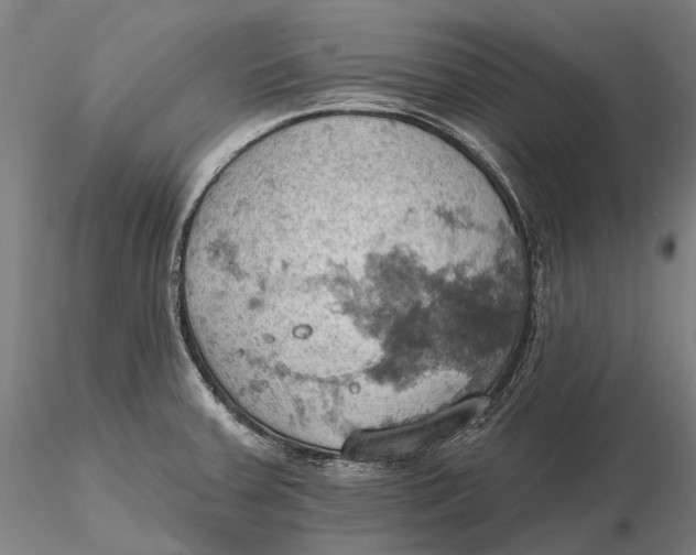 X0000115591379200912011453