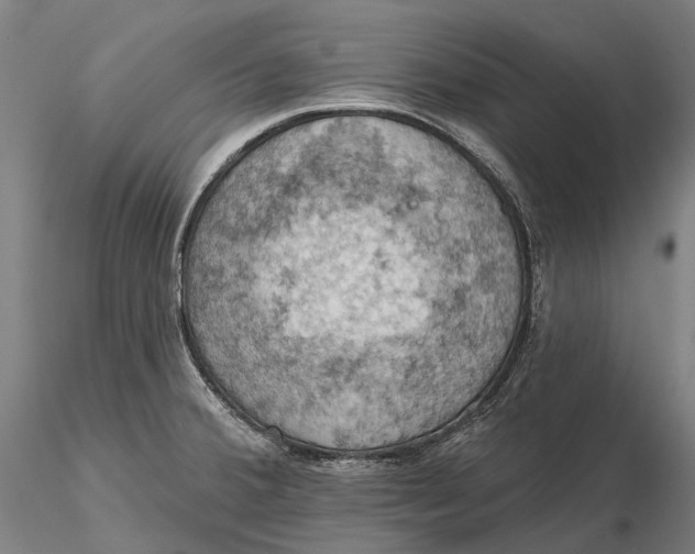 X0000115591380200912011453