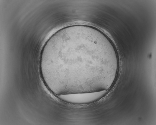 X0000115591381200912011453