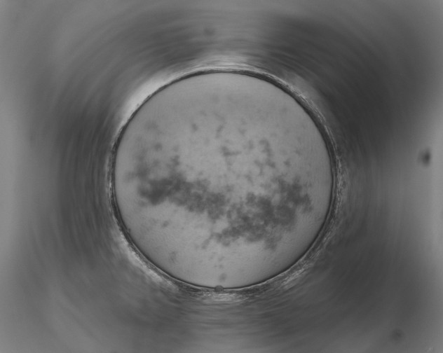 X0000115591382200912011453