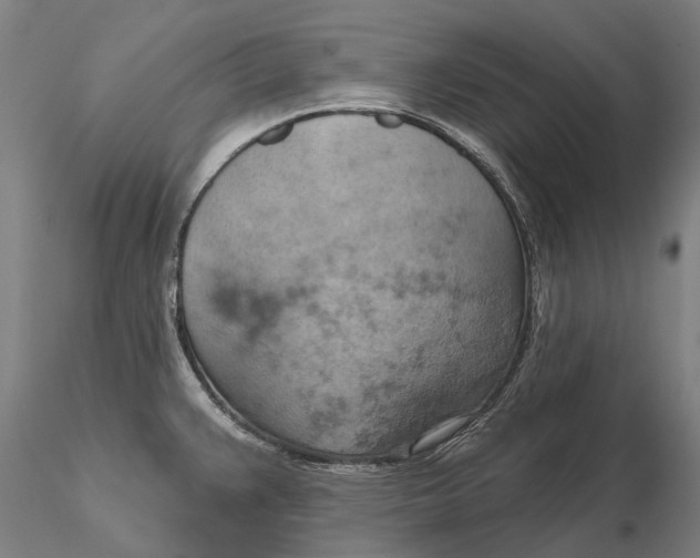 X0000115591383200912011453
