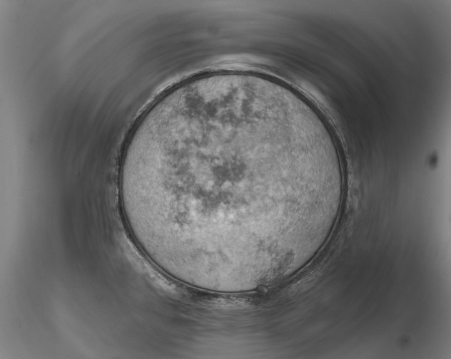 X0000115591384200912011453