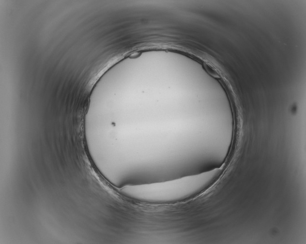 X0000115591385200912011453
