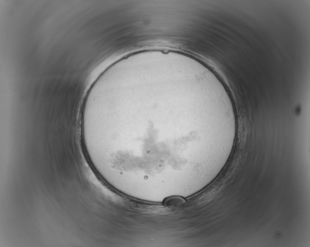 X0000115591387200912011452