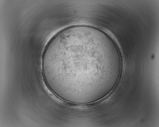 X0000115591388200912011452