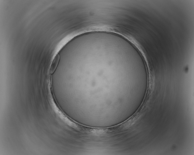X0000115591389200912011452