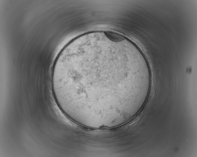 X0000115591392200912011452