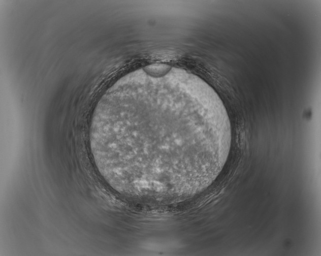 X0000115591393200912011451
