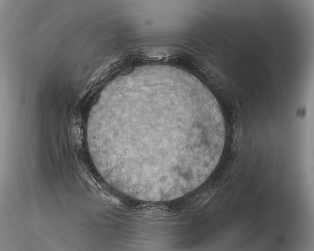 X0000115591394200912011451