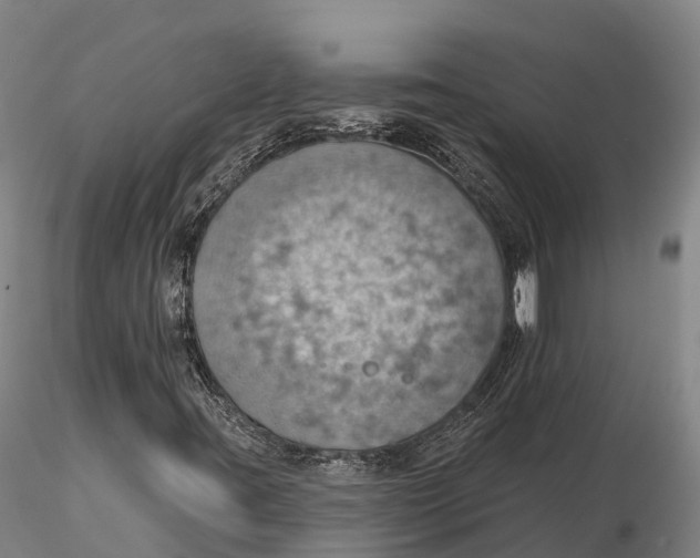 X0000115591395200912011451