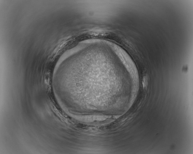 X0000115591396200912011451