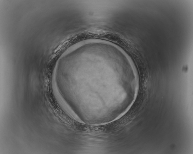 X0000115591397200912011451