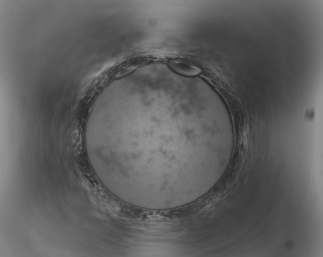 X0000115591398200912011451