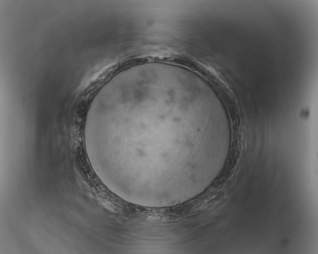 X0000115591399200912011451
