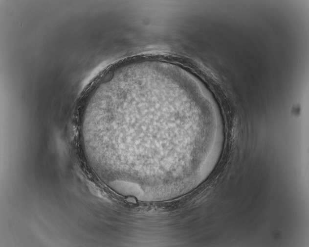 X0000115591400200912011452