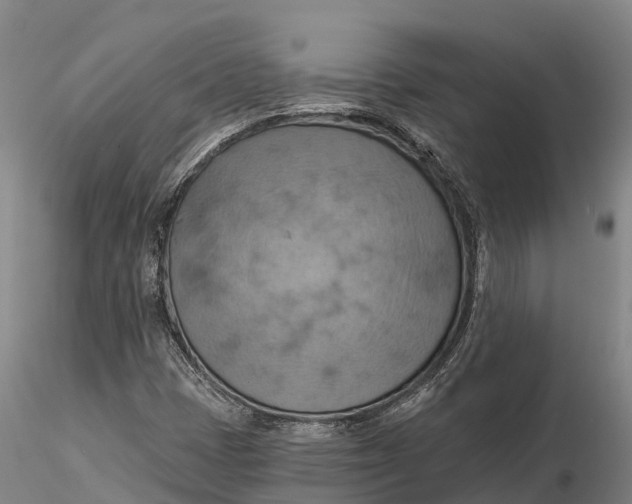 X0000115591401200912011452