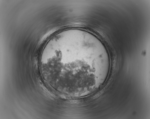 X0000115591402200912011452