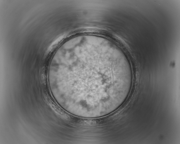 X0000115591403200912011452