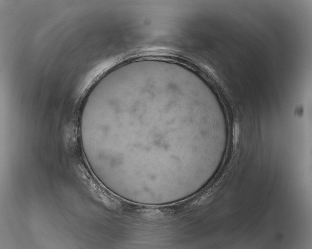 X0000115591405200912011452