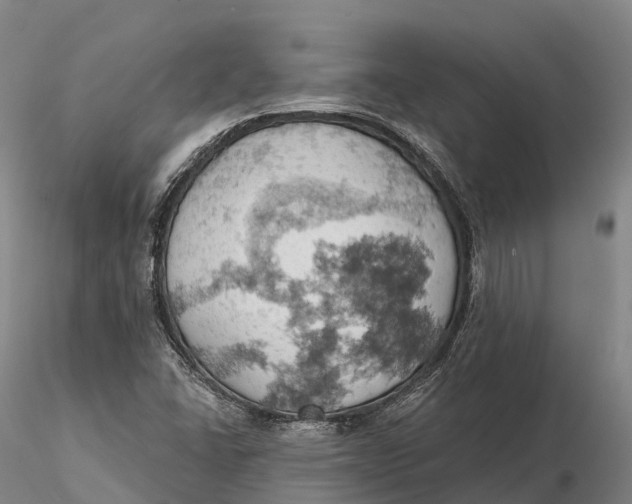 X0000115591406200912011452