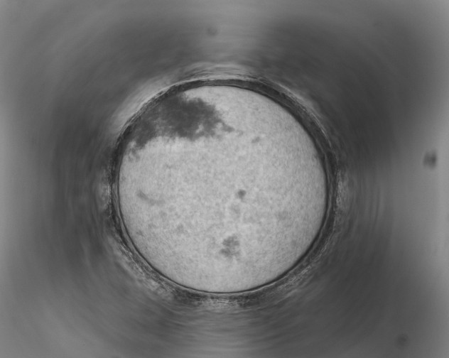 X0000115591407200912011452