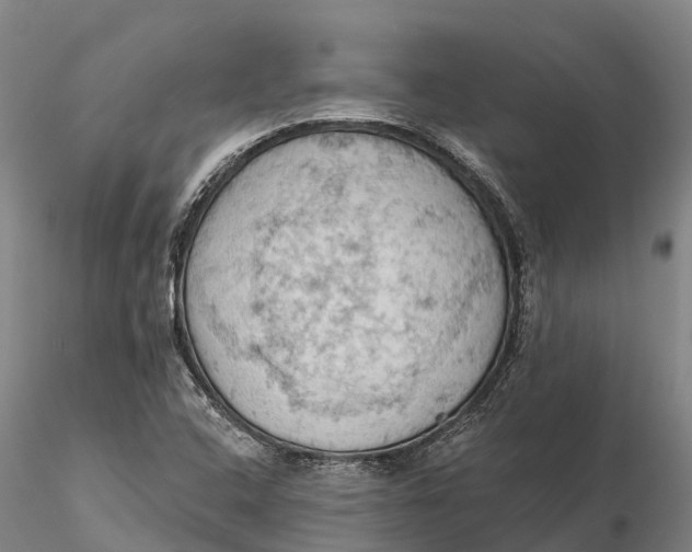 X0000115591408200912011452