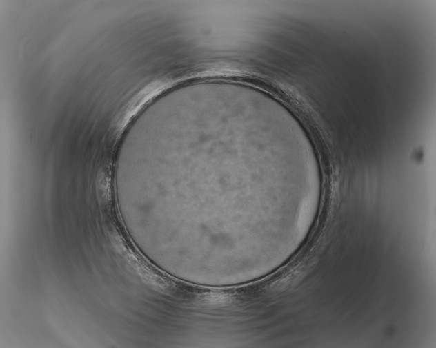 X0000115591409200912011452