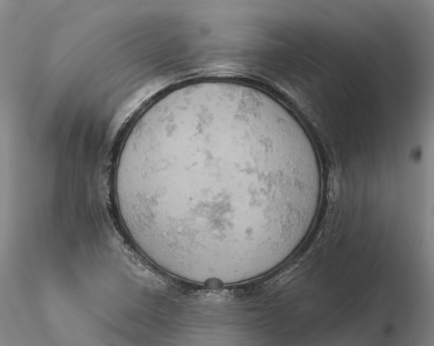 X0000115591410200912011452