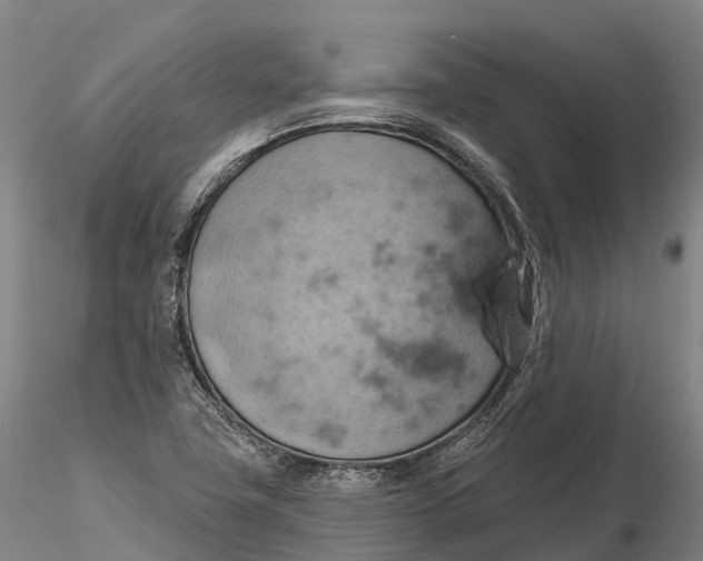 X0000115591411200912011452