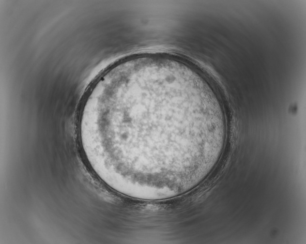 X0000115591412200912011452