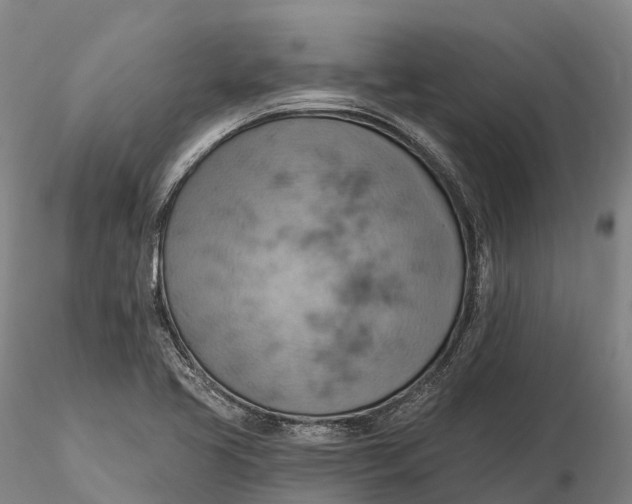X0000115591413200912011452