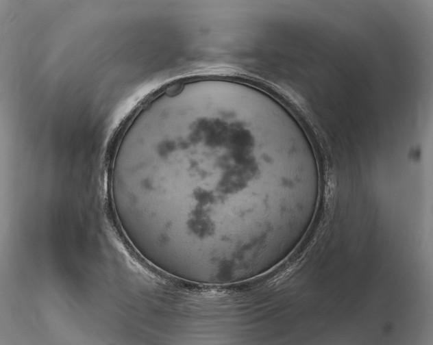 X0000115591414200912011452