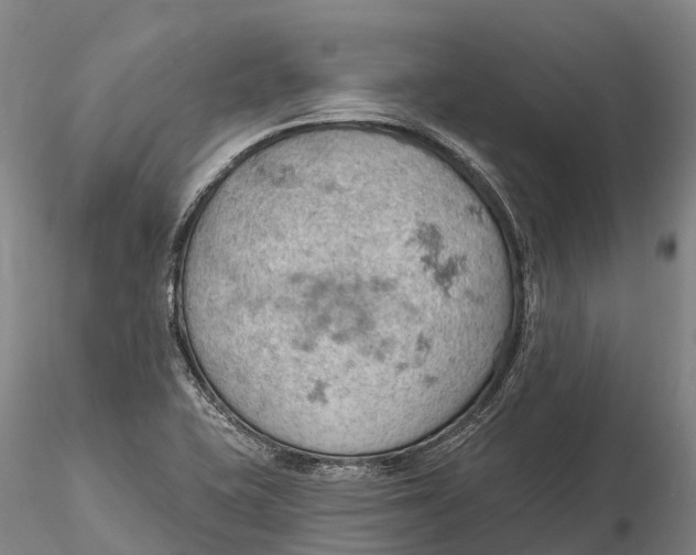 X0000115591415200912011452