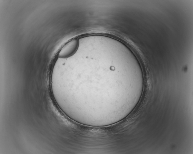 X0000115591416200912011452
