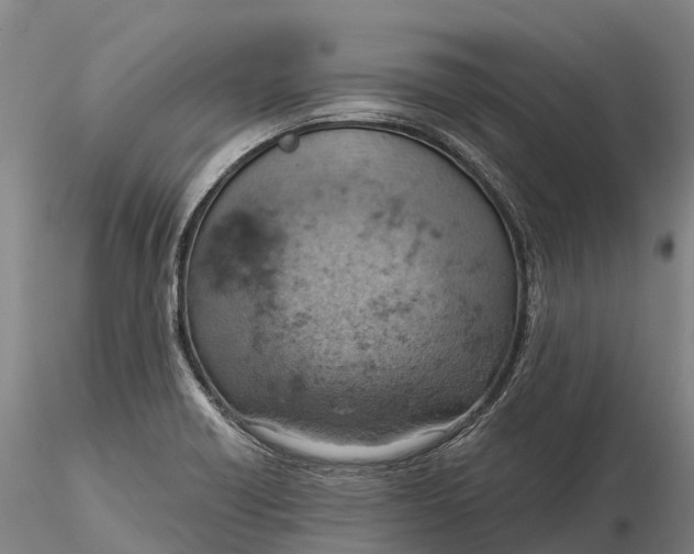 X0000115591418200912011452