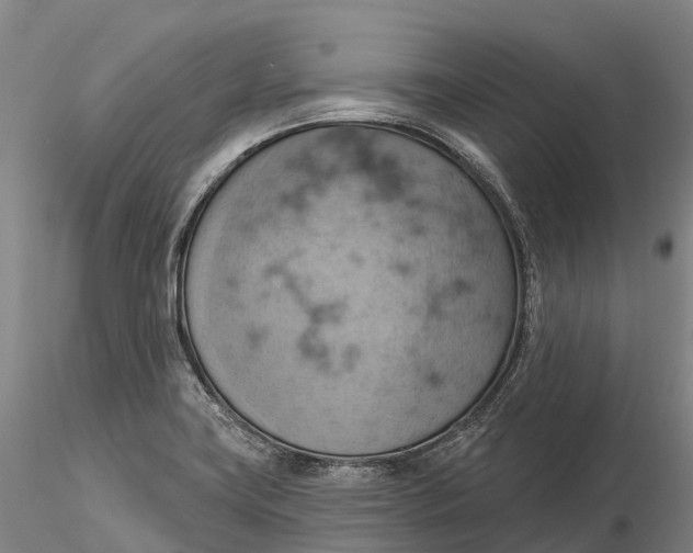 X0000115591419200912011452