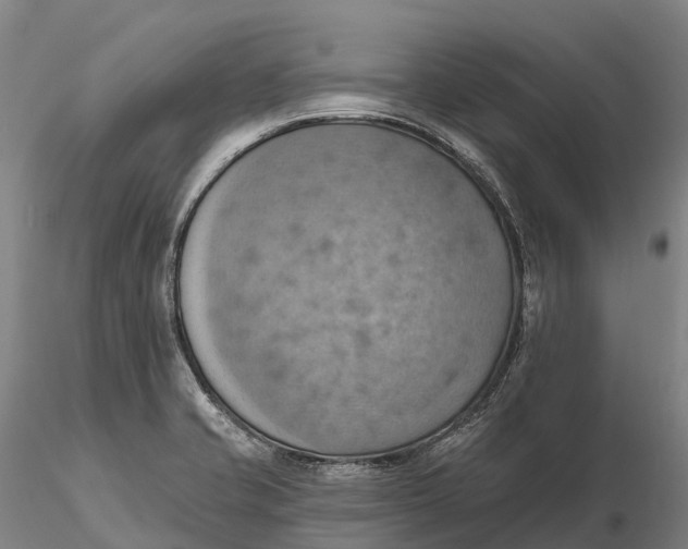 X0000115591421200912011452