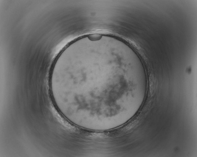 X0000115591422200912011452