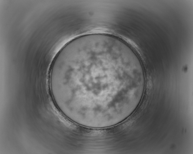 X0000115591423200912011452
