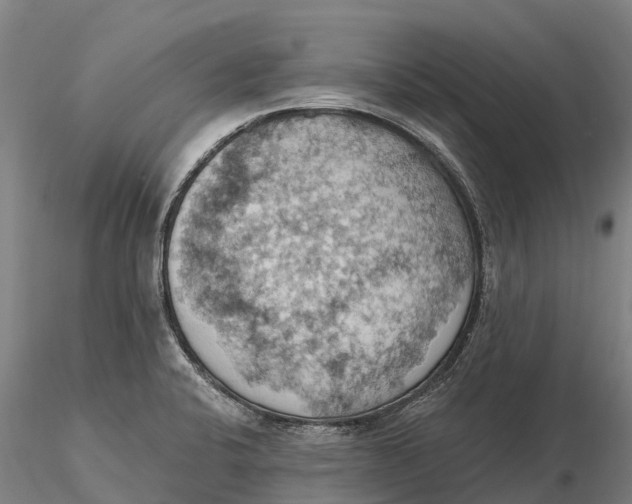 X0000115591424200912011452