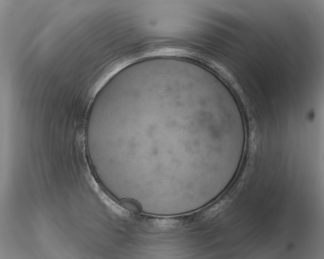 X0000115591425200912011452
