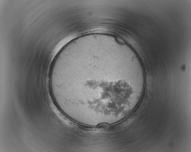 X0000115591426200912011452