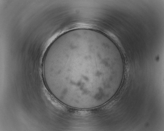 X0000115591427200912011452