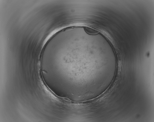 X0000115591428200912011452