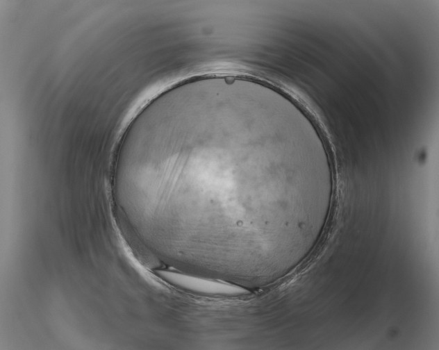 X0000115591429200912011452
