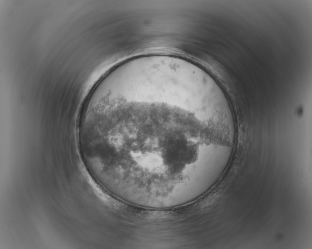 X0000115591430200912011452